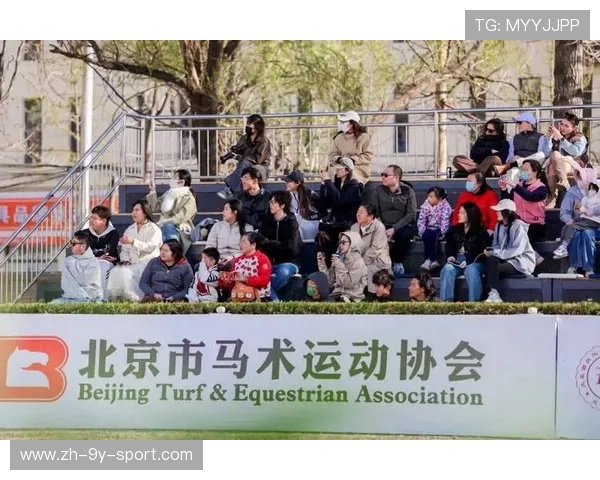 世界马术赛事马匹康复第82期报告发布,马术大奖赛 世界马术赛事马匹康复第82期报告发布,马术大奖赛